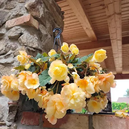 Und Al Dente * Nunchritz