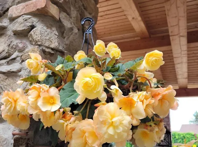 Und Al Dente * Nunchritz